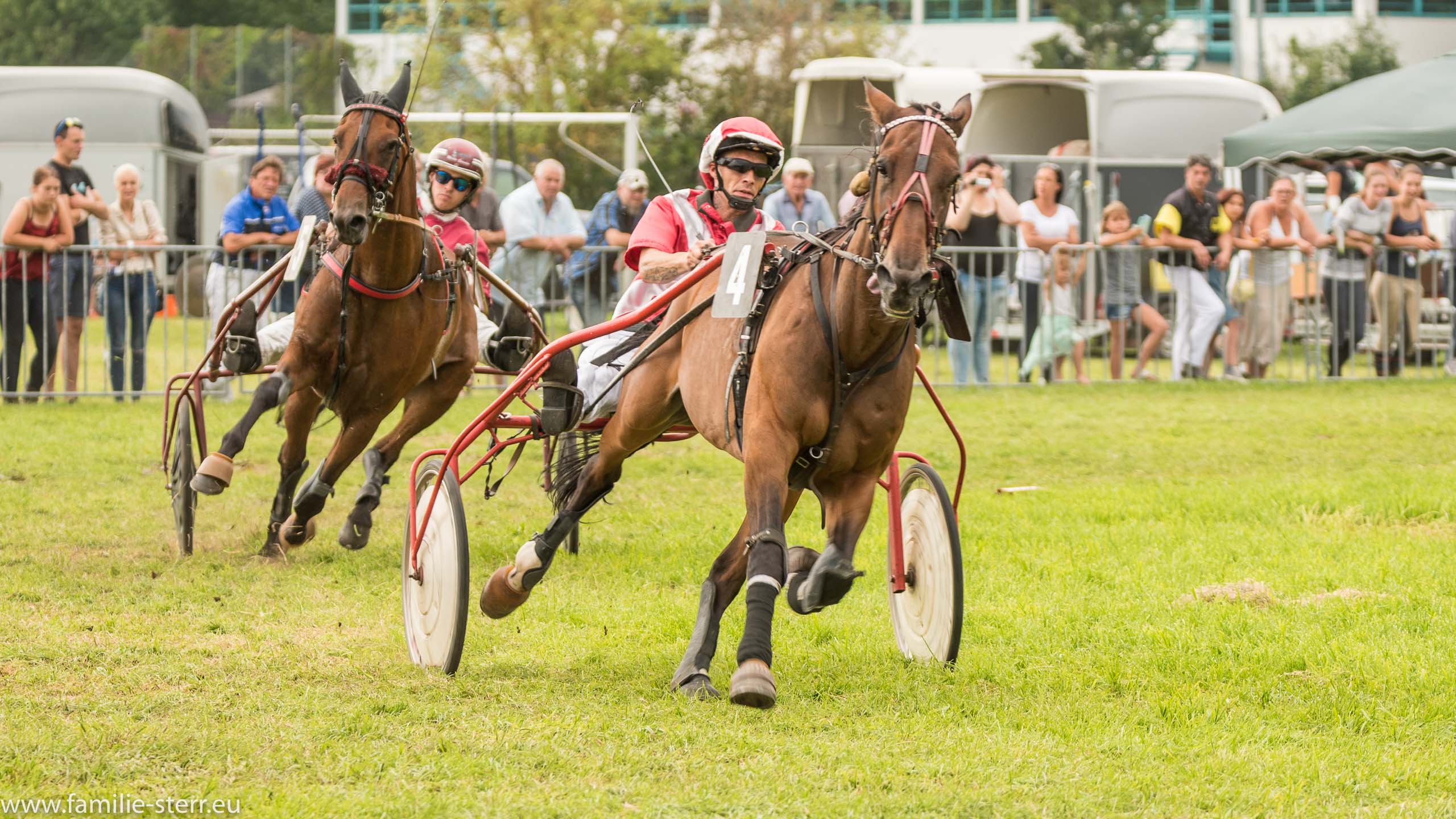 Trabrennen in Erding 2017